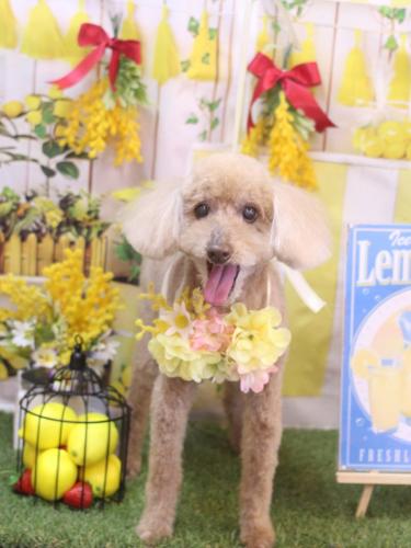 20240414こたろうくん